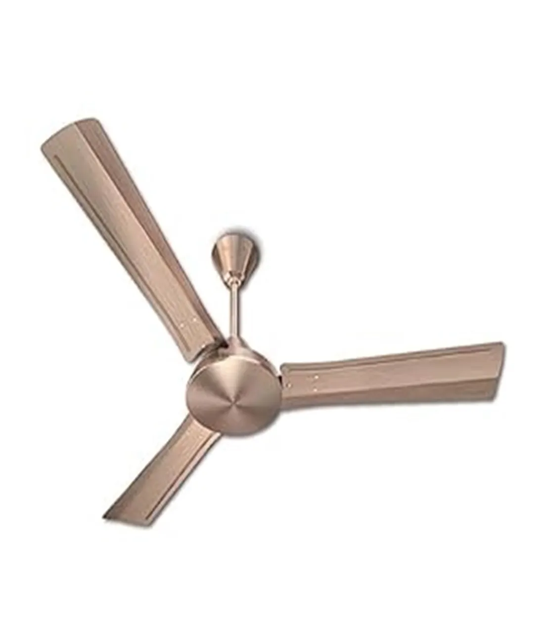 EP Trendy Fan